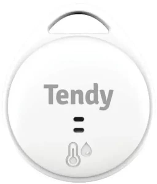 Nemus Mörningstimer